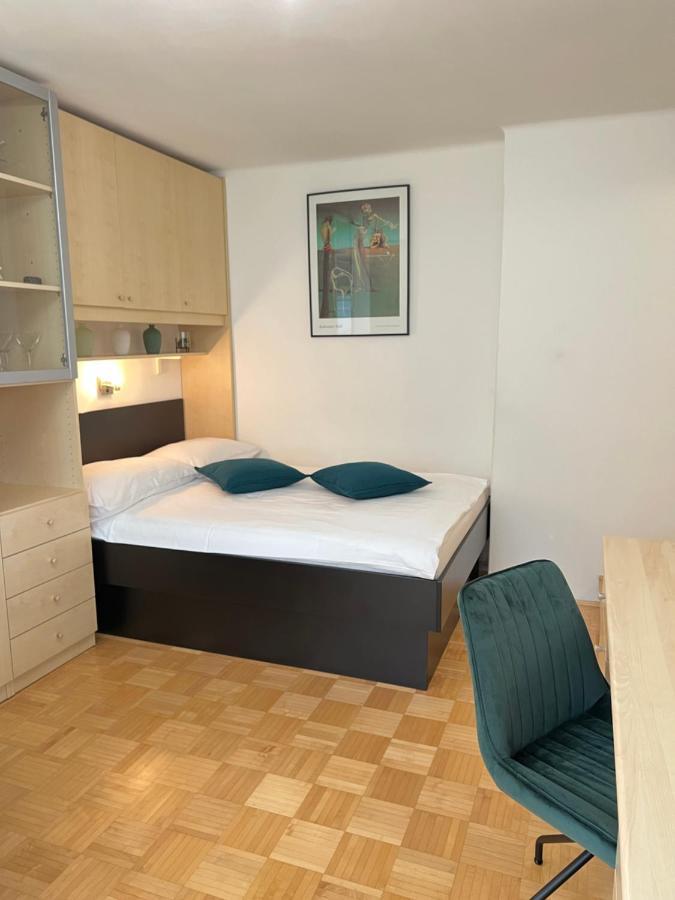 Luxury Studio Apartments Ljubljana Kültér fotó